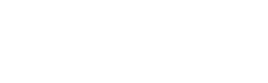 Logotype_white_Passo.png